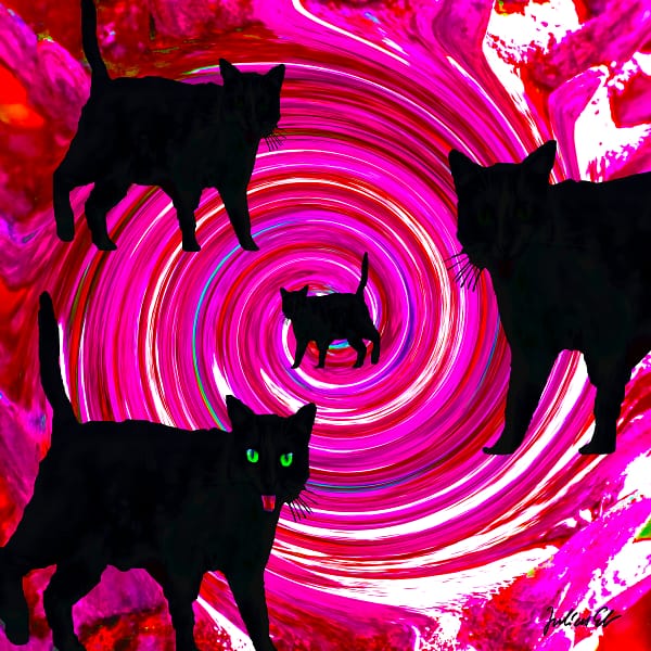 I See You - Psychedelic Cat Series